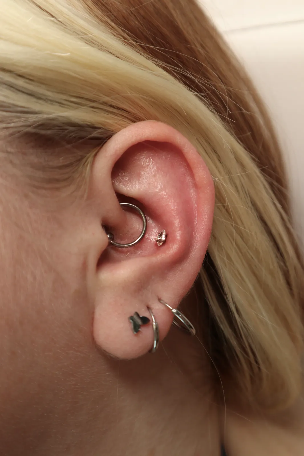 A curated ear — a daith hoop, a marquise rook stud and a line of lobe hoops