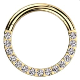 Pavé seamless hoop in implant-grade titanium