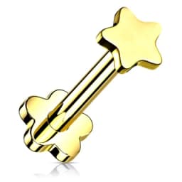 Star in implant-grade titanium