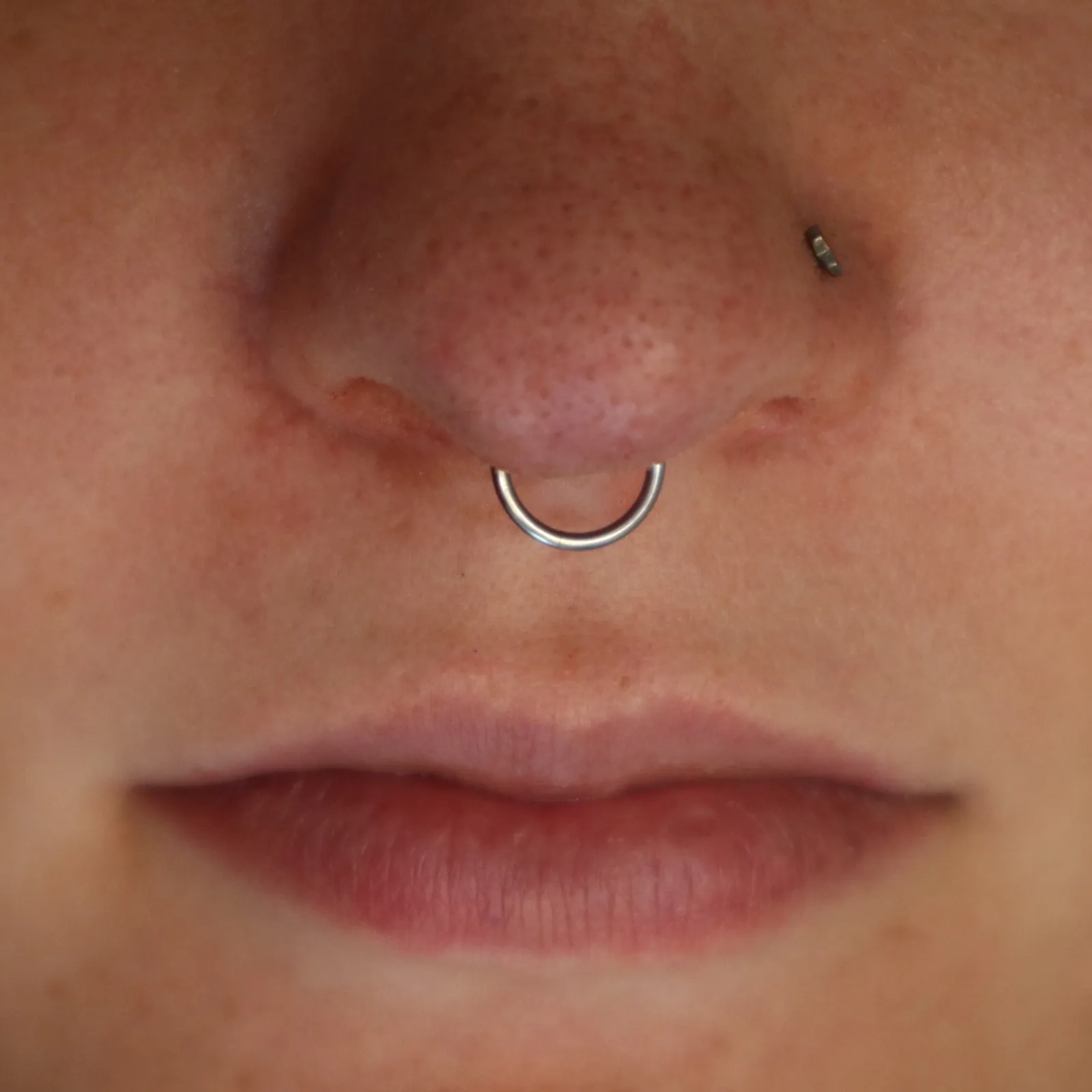 A healed septum with a seamless ring, paired with a small bezel-set nostril stud